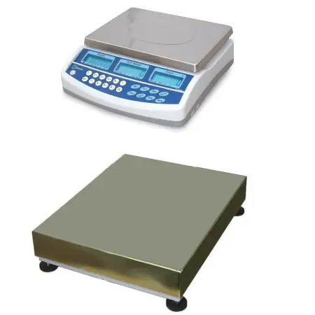 Click Here To Enlarge This Photo Of CSG BCD DUAL SCALE REMOTE BASE COUNTING SYSTEM