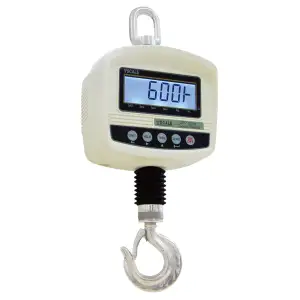 T-SCALE DR SERIES REMOTE CONTROL CRANE SCALE