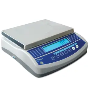 BW SERIES DIGITAL SCALE